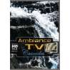DVD - Film de  en DVD Ambiance TV - Cascades