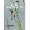 DVD - Film de Alain Morizot-Thibault en DVD Bal des mouches (Le)