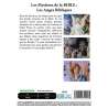 DVD - Film de  en DVD Mystères de la Bible (Les) - Les anges bibliques
