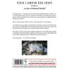DVD - Film de Armand Isnard en DVD Pour l'amour des chats - Volume 1