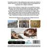 DVD - Film de  en DVD Secrets du Vatican (Les) - Les dessous du pouvoir révélés