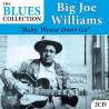 Williams, Big Joe, Baby, Please Don't Go, Blues, RDM-Edition, Musique