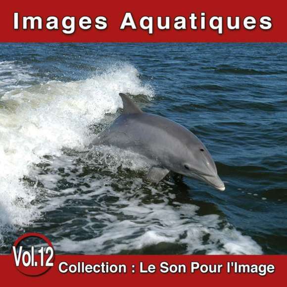 Baxter, Les, Le Son Pour l'Image Vol. 12 : Images Aquatiques, Ambiance, Instrumental, RDM-Edition, Musique