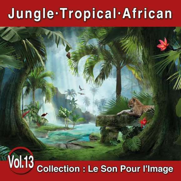 Warren, Guy, Le Son Pour l'Image Vol. 13 : Jungle - Tropical - African, Ambiance, Instrumental, RDM-Edition, Musique