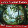 Warren, Guy, Le Son Pour l'Image Vol. 13 : Jungle - Tropical - African, Ambiance, Instrumental, RDM-Edition, Musique