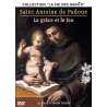 DVD - Film de Armand Isnard en DVD Saint Antoine de Padoue : la grâce et le feu - Collection "La vie des Saints"