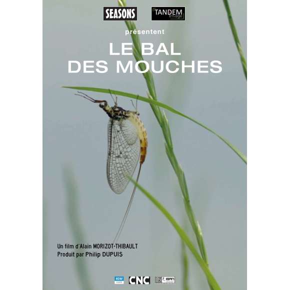 DVD - Film de Alain Morizot-Thibault en DVD Bal des mouches (Le)