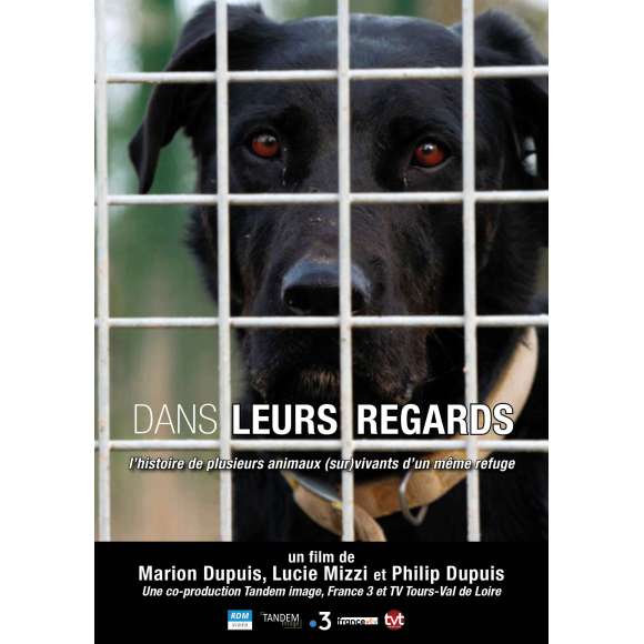 DVD - Film de Marion Dupuis, Lucie Mizzi, Philip Dupuis en DVD Dans leurs regards - L'Histoire de plusieurs animaux...