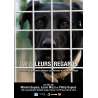 DVD - Film de Marion Dupuis, Lucie Mizzi, Philip Dupuis en DVD Dans leurs regards - L'Histoire de plusieurs animaux...