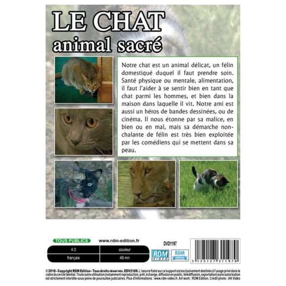 DVD - Film de  en DVD Chat (Le) - Animal sacré - Volume 2