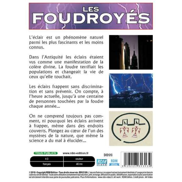 DVD - Film de  en DVD Foudroyés (Les)