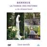 DVD - Film de Armand Isnard en DVD Banneux : la Vierge des Pauvres - Collection "Lieux marials"
