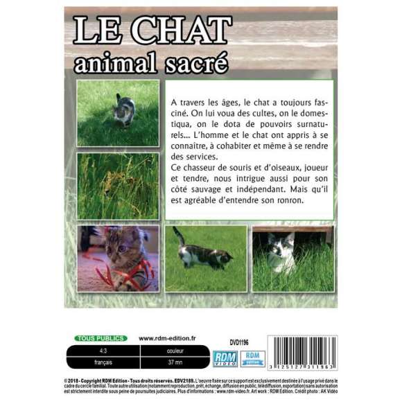 DVD - Film de  en DVD Chat (Le) - Animal sacré - Volume 1
