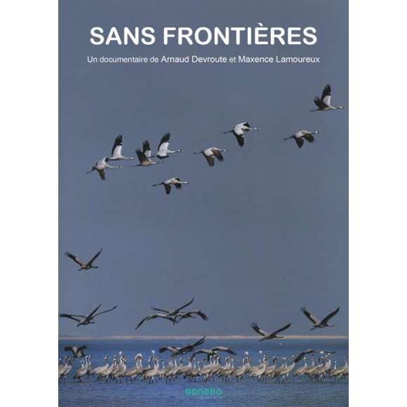 DVD - Film de Arnaud Devroute, Maxence Lamoureux en DVD Sans frontières