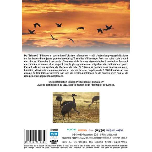 DVD - Film de Arnaud Devroute, Maxence Lamoureux en DVD Sans frontières