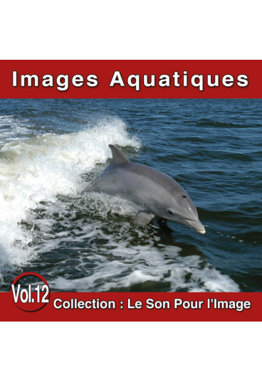 Le Son Pour l'Image Vol. 12 : Images Aquatiques