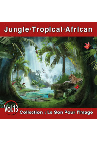 Le Son Pour l'Image Vol. 13 : Jungle - Tropical - African