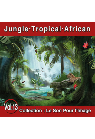 Le Son Pour l'Image Vol. 13 : Jungle - Tropical - African