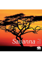 Savanna